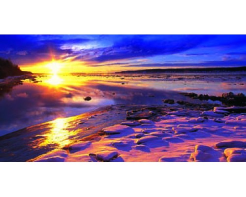 Desk Calendar DC20